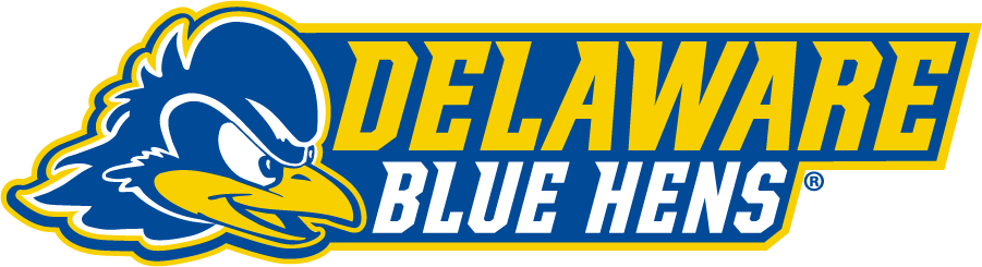 Delaware Blue Hens 2018-Pres Secondary Logo v2 DIY iron on transfer (heat transfer)